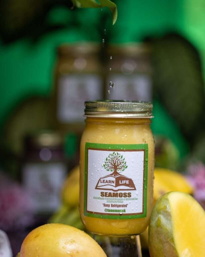 Mango Moss LEARN LIFE mango-moss-learn-life